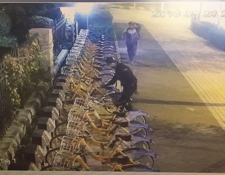 suncitygroup太阳集团·(中国)首页登录