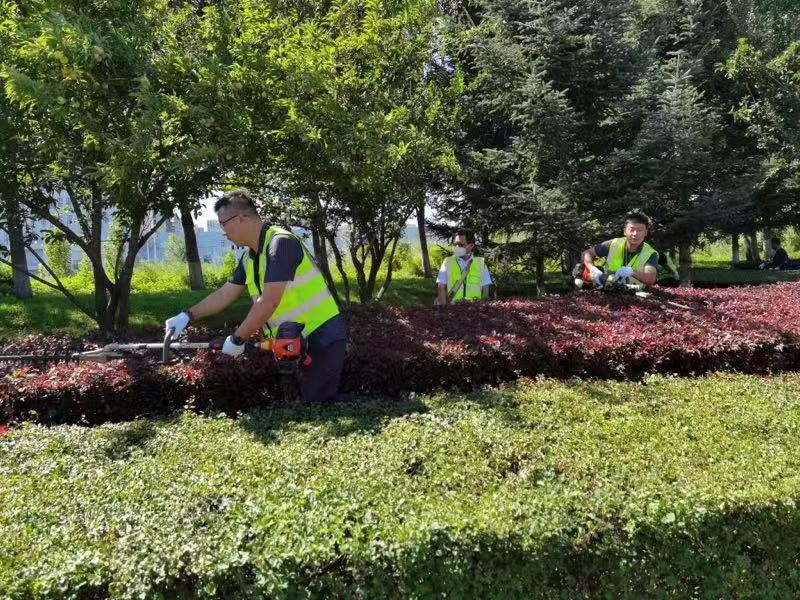 suncitygroup太阳集团·(中国)首页登录