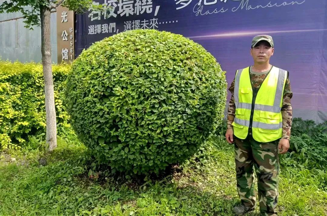 suncitygroup太阳集团·(中国)首页登录